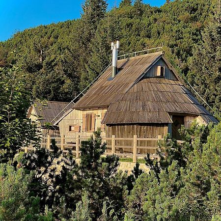 Chalet Velika Planina - I Feel Alps Стаховица Экстерьер фото