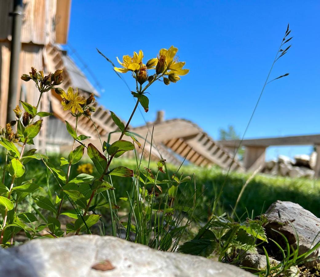 Chalet Velika Planina - I Feel Alps Стаховица Экстерьер фото