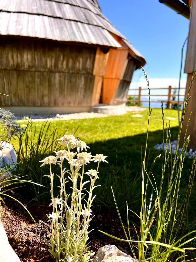 Chalet Velika Planina - I Feel Alps Стаховица Экстерьер фото