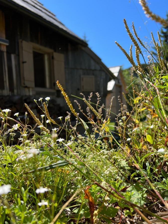 Chalet Velika Planina - I Feel Alps Стаховица Экстерьер фото