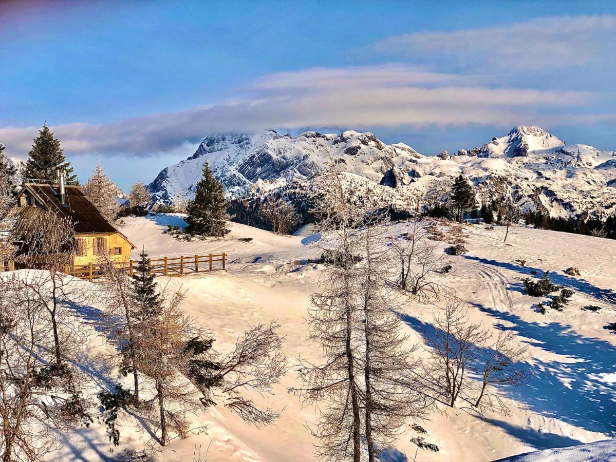Chalet Velika Planina - I Feel Alps Стаховица Экстерьер фото